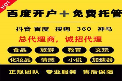 百度竞价托管公司案例分析：打造行业领军企业